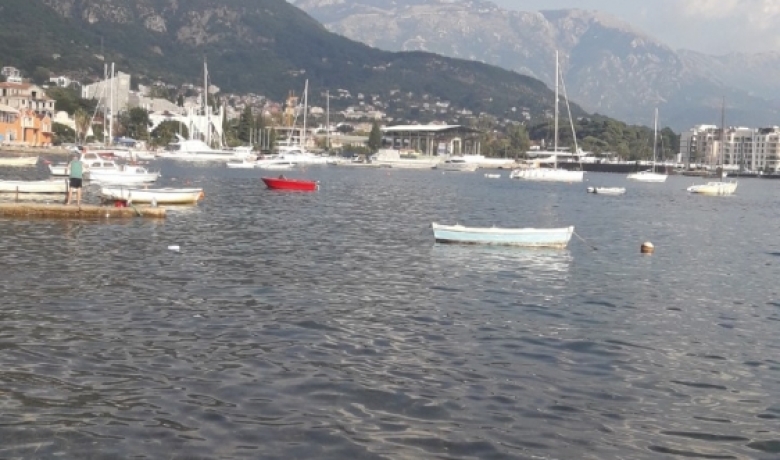 Apartamenty DUBRAVKO, Tivat, Apartamenty