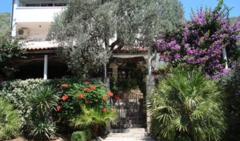 Apartamenty MASLINA, Petrovac, Apartamenty