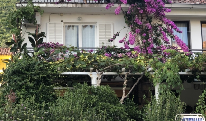 Dom GOLIŠ, Petrovac, Apartamenty
