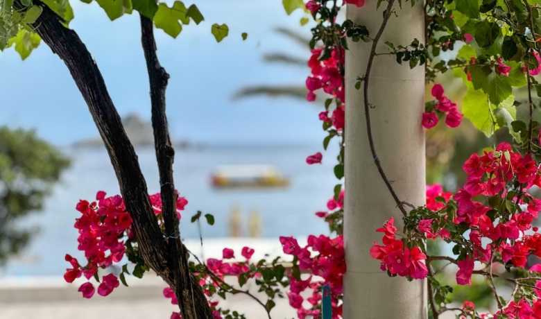 Apartamenty Gruda, Petrovac, Apartamenty