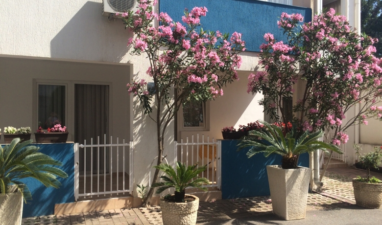 Apartmány ALEKSIĆ, Becici, Apartmany