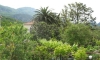 Pokoje a studio apartmány Davidovic, Buljarica, Apartmany
