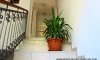 Апартаменты RADOVIC, Петровац, Apartments