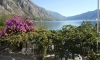 Wohnungen RADOJKOVIC, Kotor, Ferienwohnungen