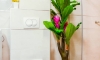 Apartament Lux Teodora Rafailovici 4*, Rafailovići, Apartamenty