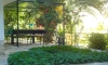 Villa PETRANOVIC, Budva, Apartmany
