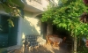 Apartamenty VELLA, Kumbor, Apartamenty