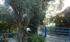 Villa PETRANOVIC, Budva, Apartmany
