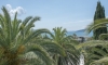Apartmány DIKAN, Herceg Novi, Apartmany