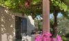 GREGOVIC Apartments, Petrovac, Apartments