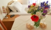 GREGOVIC M&M Apartments, Petrovac, Apartments