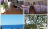 Apartamente Dasic, Bar, Apartamente