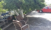 Apartmány DELIBASIC, Bar, Apartmany