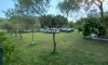 Riviera Inn, Ulcinj, Apartamenty