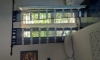 Apartamenty typu studio Pastrovic, Petrovac, Apartamenty