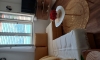 Apartman M&T uz more, Kotor, Boende