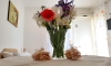 GREGOVIC M&M Apartments, Petrovac, Apartments