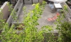 Apartamenty MARKOVIĆ, Sutomore, Apartamenty