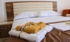 Casa Hena, Ulcinj, Apartamenty