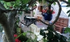 Guest House Igalo, Igalo, Apartamente