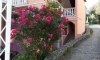 Villa Marina, Buljarica, Apartments