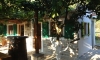 Apartments Perovic, Buljarica, Apartments