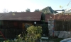 Eko selo DRVLJANIK, Buljarica, Apartamenty