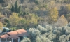 Eko selo DRVLJANIK, Buljarica, Apartamenty