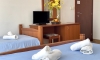 Villa NS Velji Vinogradi, Budva, Apartments