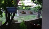 Guest House Igalo, Igalo, Apartamente