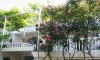 Apartamenty Snezana, Petrovac, Apartamenty