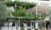 Apartamenty Snezana, Petrovac, Apartamenty