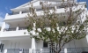 Apartamenty Snezana, Petrovac, Apartamenty