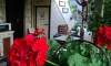 Guest House Igalo, Igalo, Apartamente