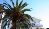 Apartamenty KUKOLJAC, Herceg Novi, Apartamenty