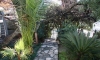 Apartamenty KUKOLJAC, Herceg Novi, Apartamenty