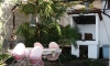 Apartamenty KUKOLJAC, Herceg Novi, Apartamenty