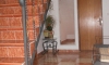 Apartamenty Vuković, Petrovac, Apartamenty