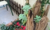 Guest House Igalo, Igalo, Apartamente