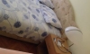 Pokoje Vesna, Bijela, Apartmany
