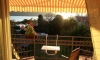 Apartmány RASOVIC, Kumbor, Apartmany