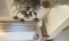Apartamenty Ada Bojana, Ulcinj, Apartamenty
