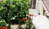 Pokoje a apartmány Boreta, Boreti Budva, Becici, Apartmany