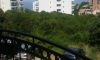 Apartamenty Bito, Dobre Vode, Apartamenty