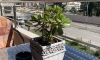 Pokoje a apartmány Boreta, Boreti Budva, Becici, Apartmany
