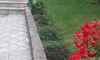 Penzion Lautasevic, Petrovac, Apartmany