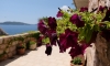 Casanegra Apartments, St. Stefan, Apartamenty