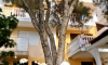 Apartmani „Vila Vujačić" Budva, Budva, Apartments