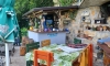 Apartamenty Twins, Petrovac, Apartamenty