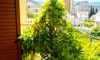 Apartmani „Vila Vujačić" Budva, Budva, Apartments